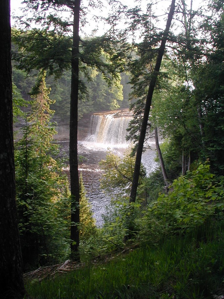 Upper Taq Falls Through the Trees by bretmarr