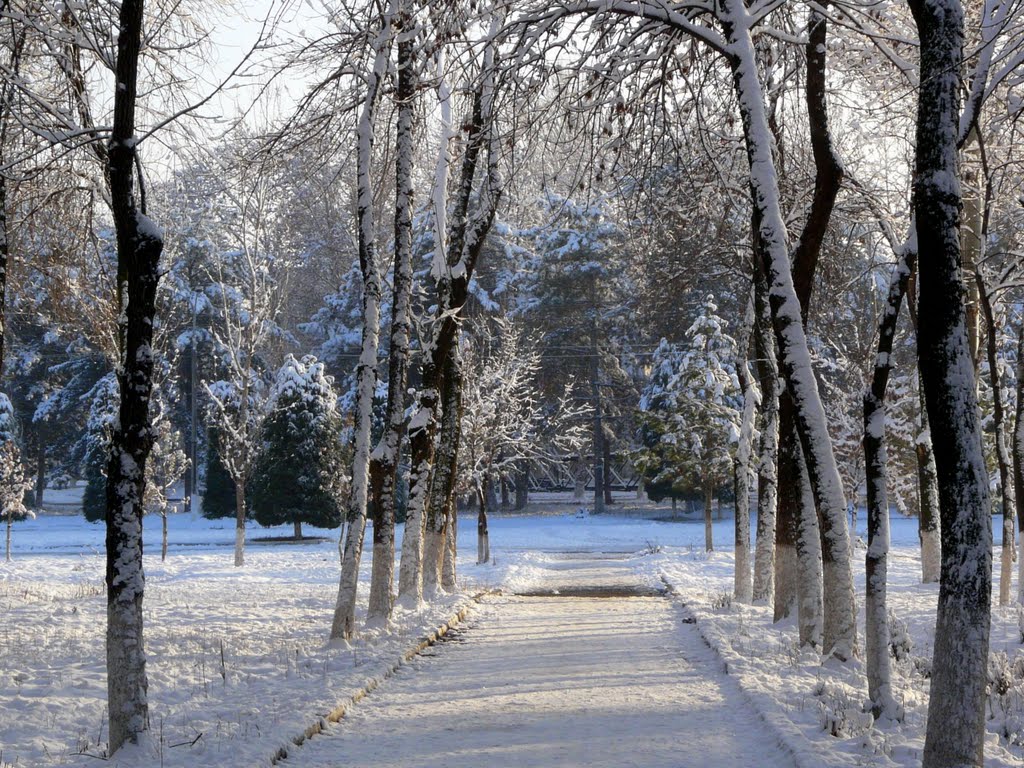 Almazar District, Tashkent, Uzbekistan by ROMARIO72