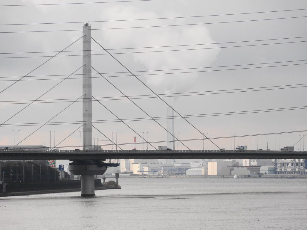 阪堺大橋 から、河口方向を眺めて..。(西向き)。大和川。阪神高速4号 湾岸線。 by bbmaru