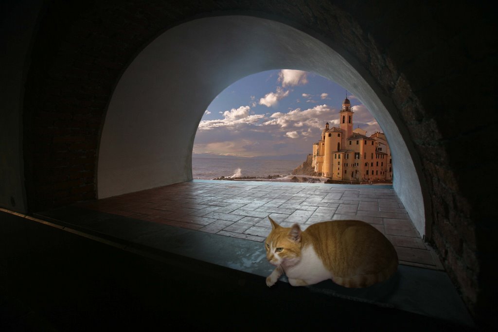 Camogli - Composition by gilberto silvestri