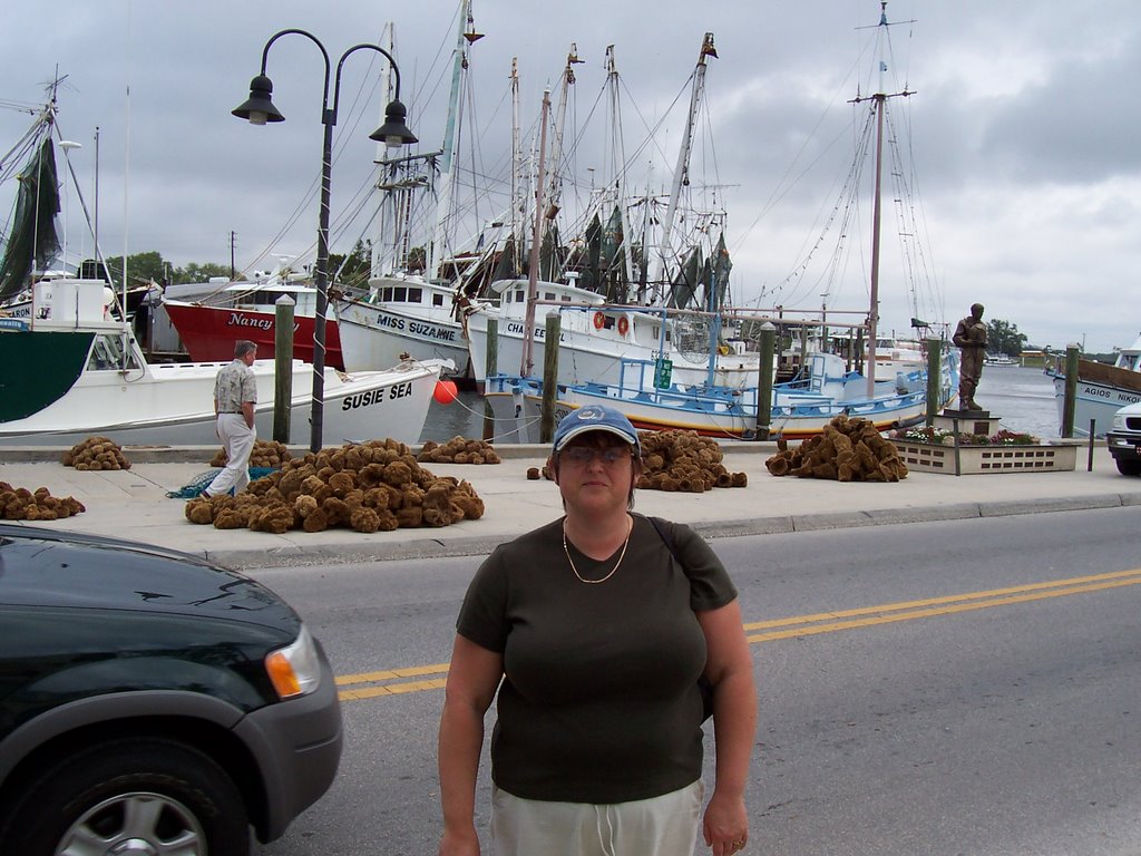 Della at tarpon springs by morningview