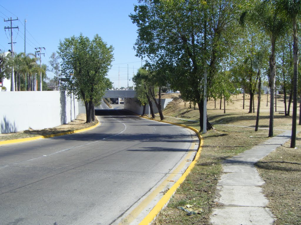 Salida del Tunel de Plaza Patria en Av. Patria y Americas by PJ Cortès