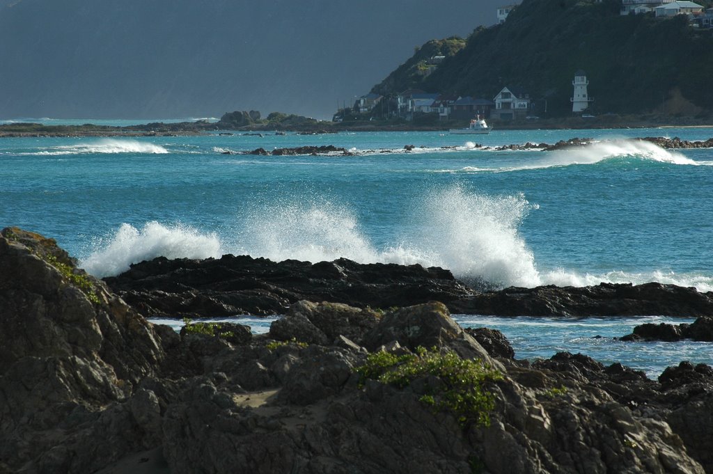 Houghton Bay Surf, Wellington by khayward