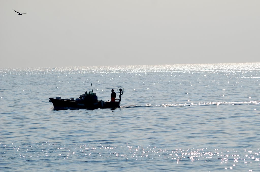 L'arrivo della barca da pesca, controluce by fabrizio.reale