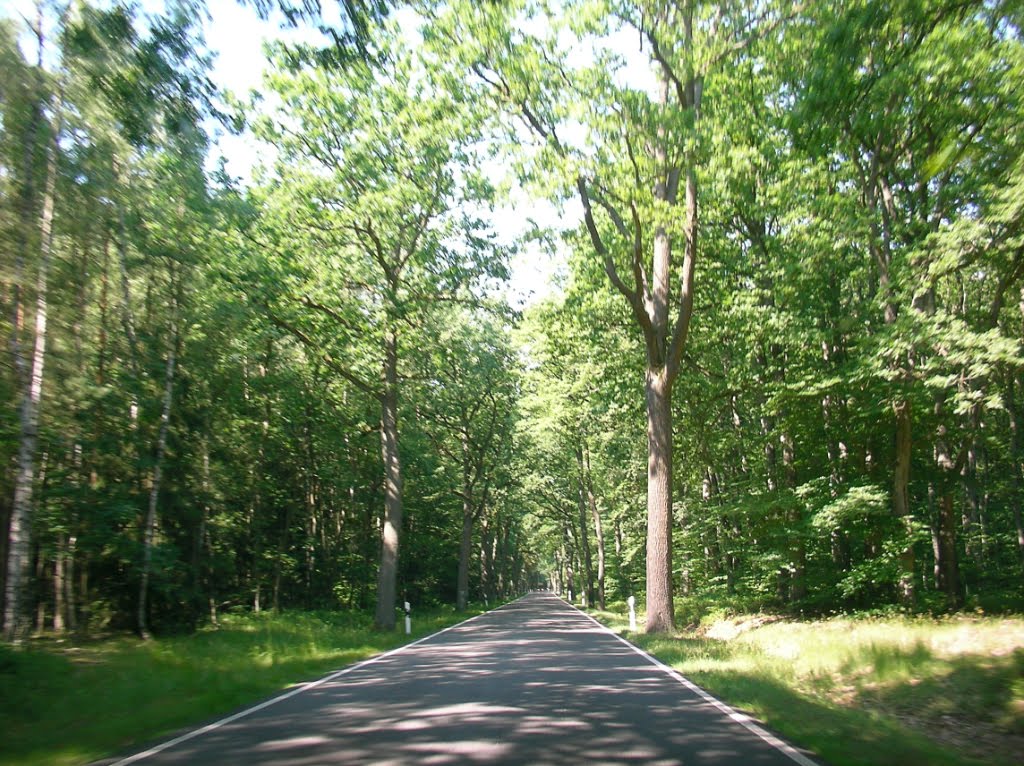 Nach Wittstock/Dosse : - und immerzu alleine auf der Straße unterwegs by ReinhardKlenke