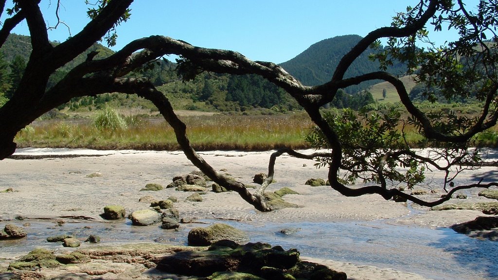 Whiritoa Beach, New Zealand by Dave Corban