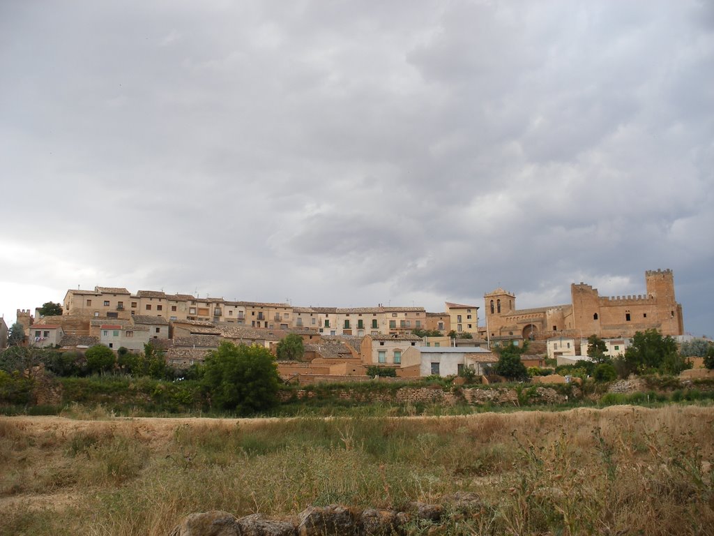 Monteagudo de las Vicarías, Soria, Spain by javidelarosa