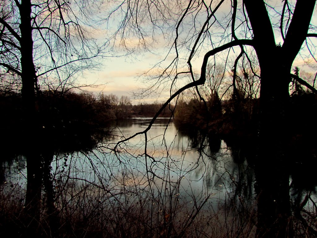 Blick auf Schwanenteich Koblenz by Henny Monzel-Ellermann