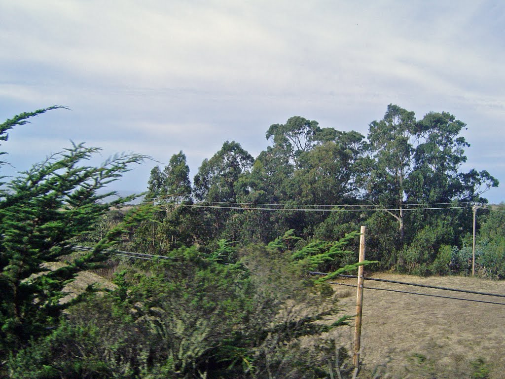 Pacific Coast Hwy (California State Route 1) by sc81