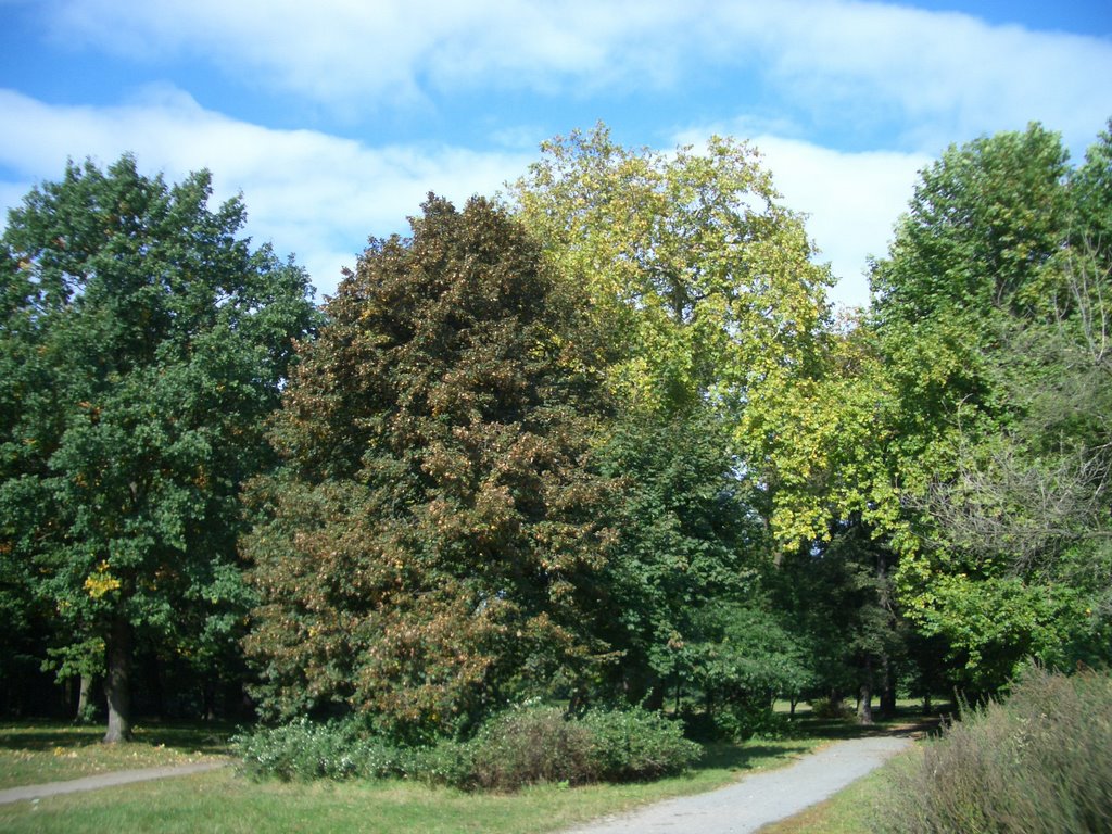 Stadtpark by Fischkopp