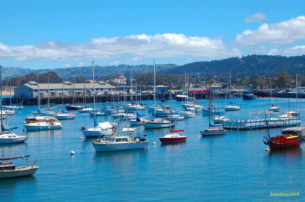 Boats at Monterey, CA by Salatico