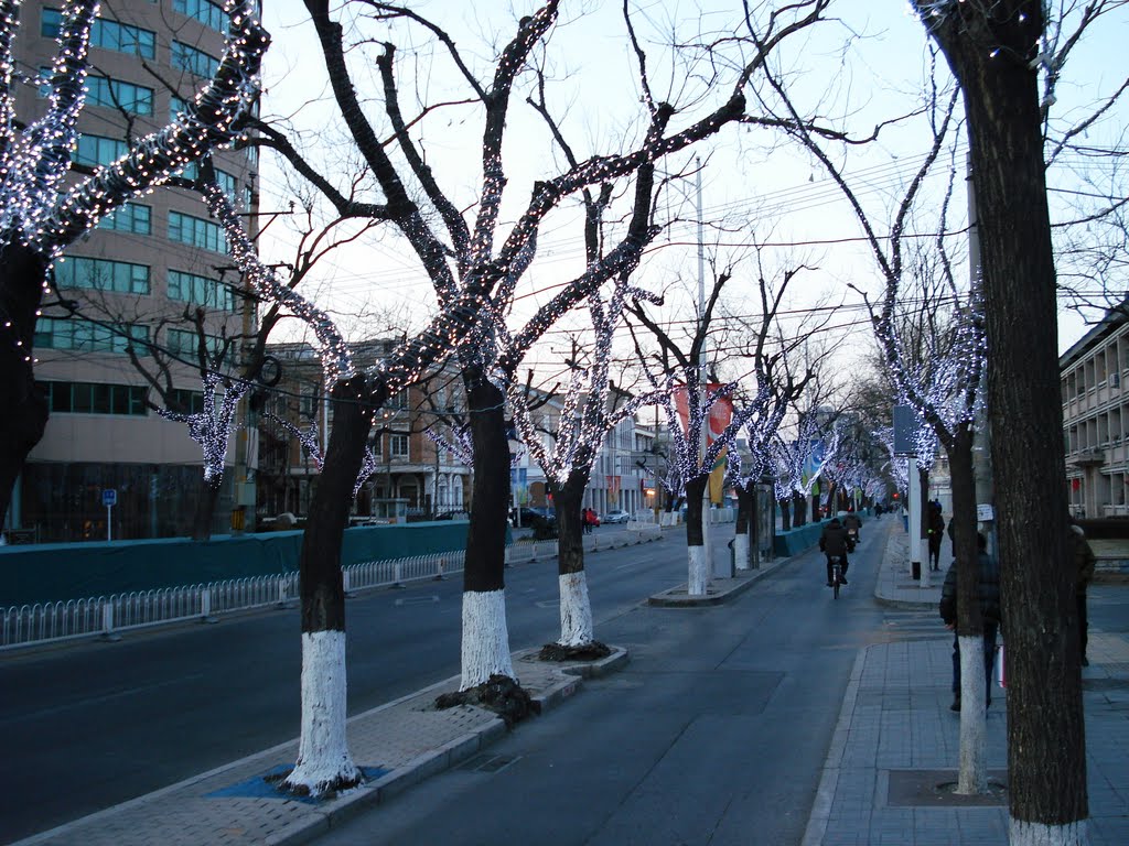 北京市东城区幸福大街南端，向北 by wdhbj2008