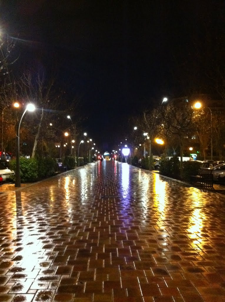 Noche en Tres Cantos by Manuel Teruel