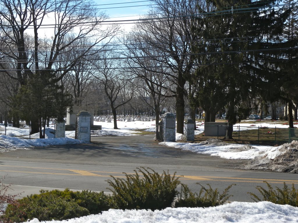 Arlington Cemetery by Adam Elmquist