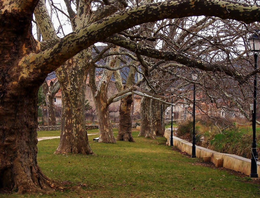 Prado de san pau by juan enriquem