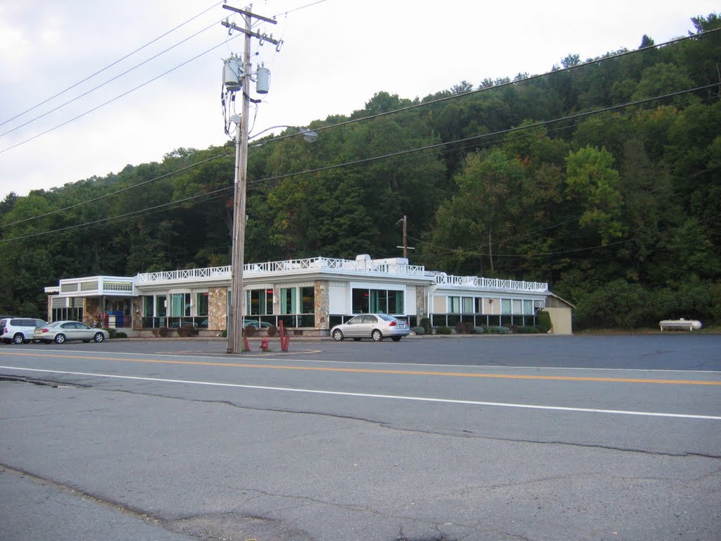 Roscoe Diner Building by ghentmills