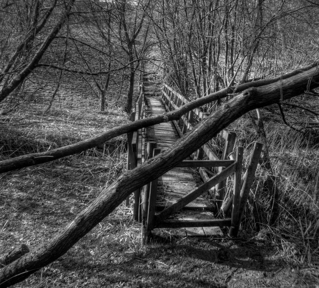 Broadbottom - The Trans Pennine Trail by Rae Leeson