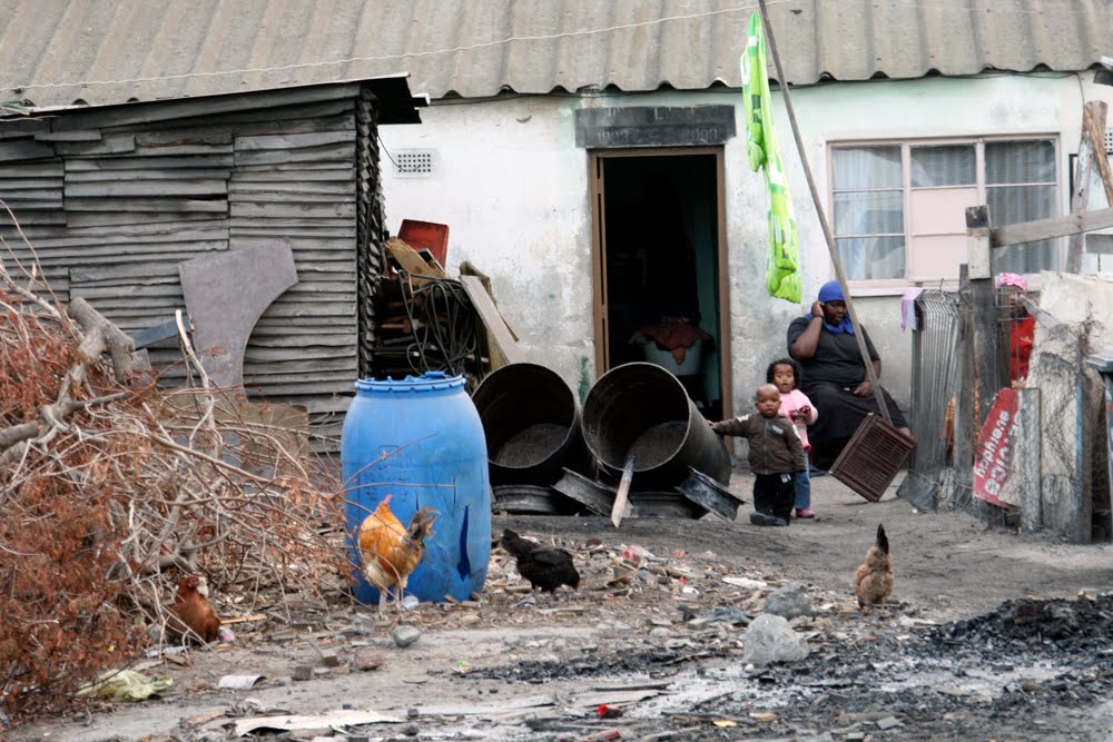 Nyanga family by rockman