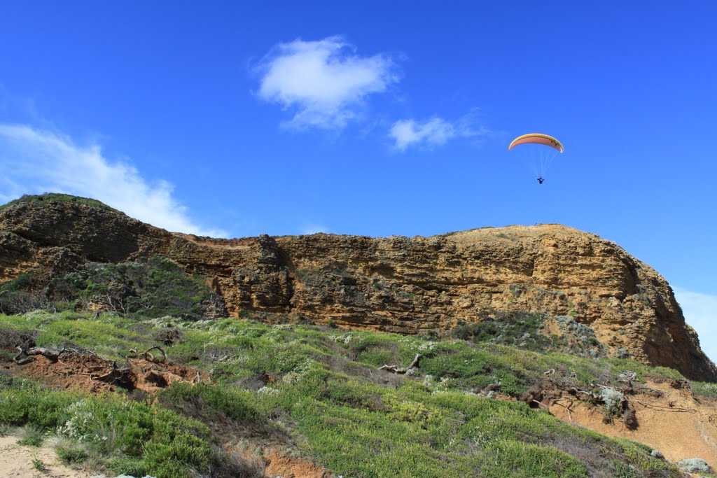 Gliding high in sky by Jeanette_A