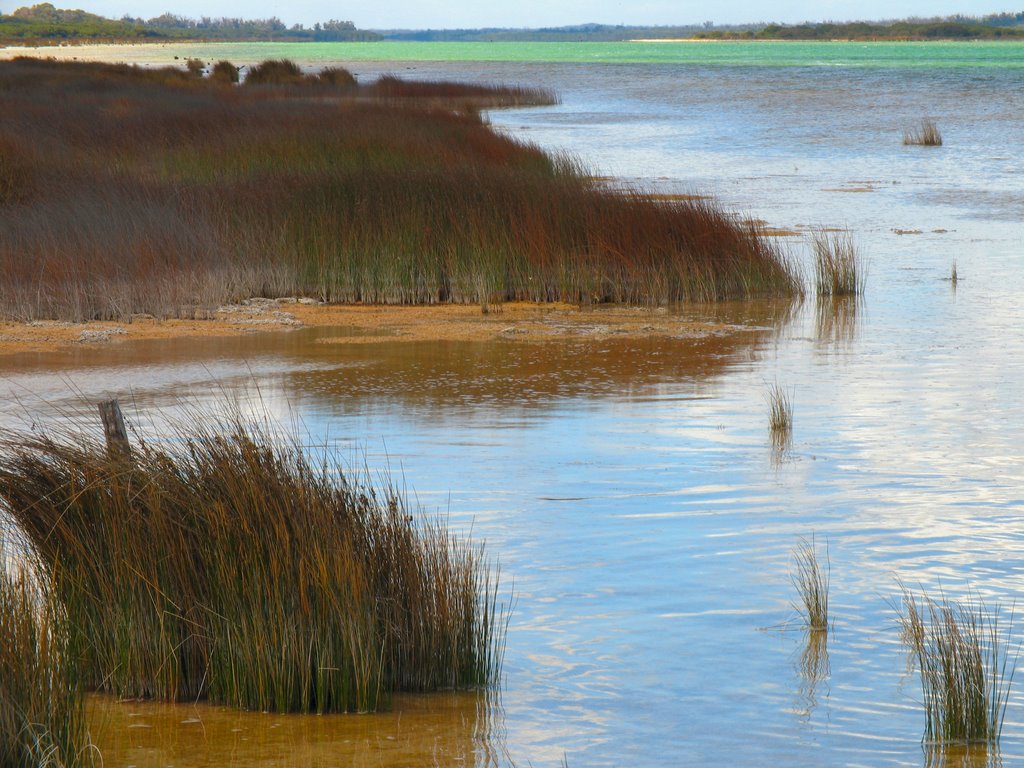 Lake Clifton, looking south from thrombolites pier by Sam Bal