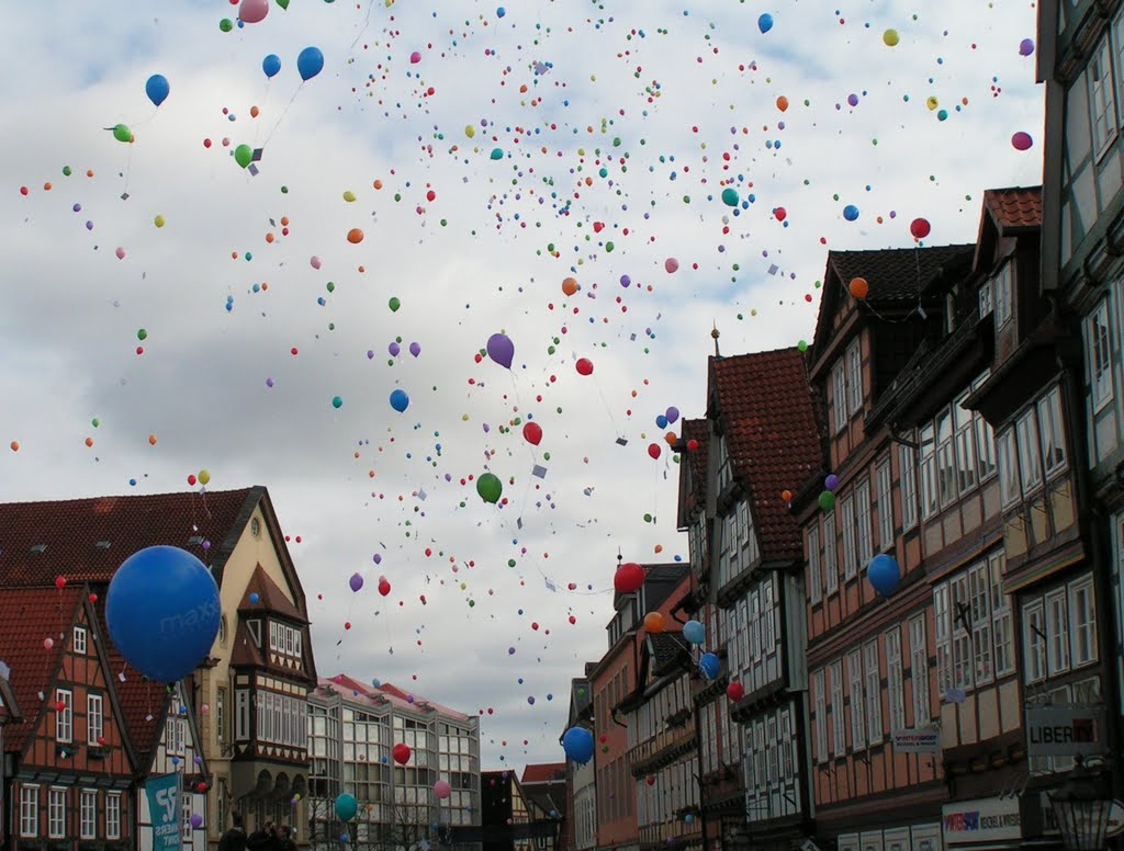 Wasa-Lauf 2005, Start auf dem Großen Plan by Anne W.