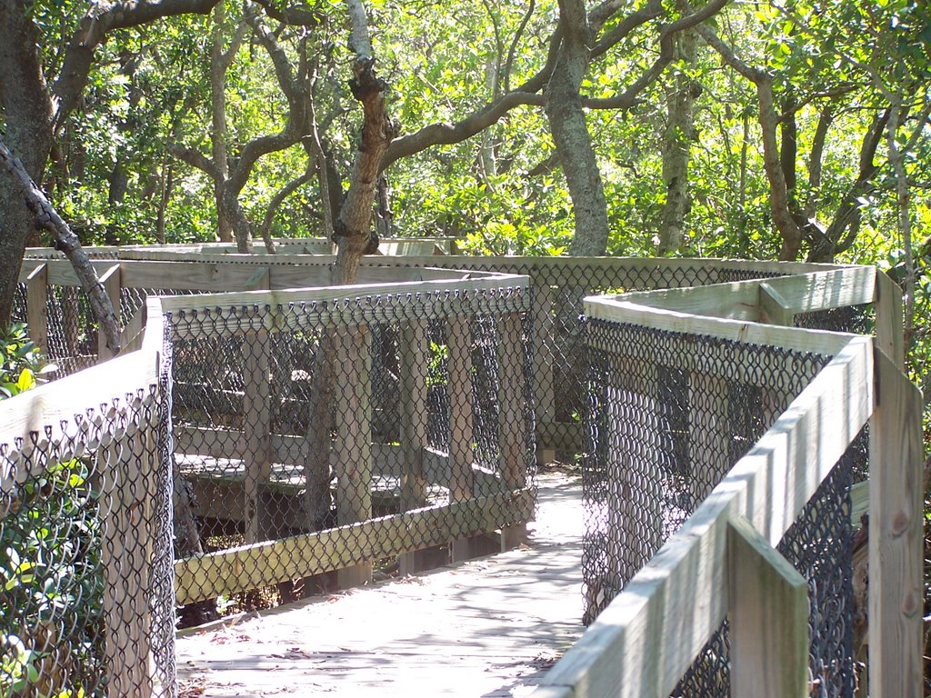 Boardwalk at Coquina Park by Ronald Losure