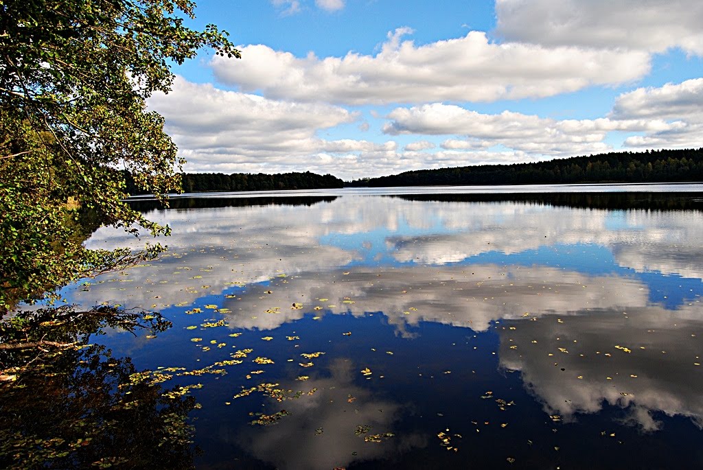 Drawno Adamowo lake by jurgol