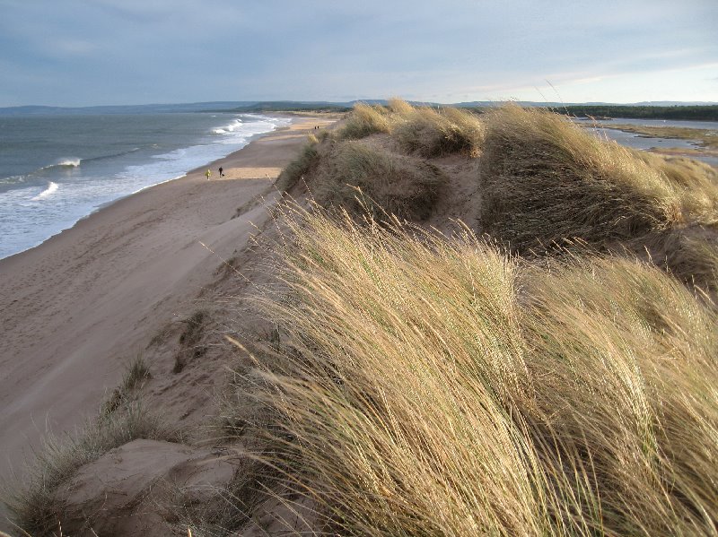 Looking east along Lossiemouth's East Beach by Premnay