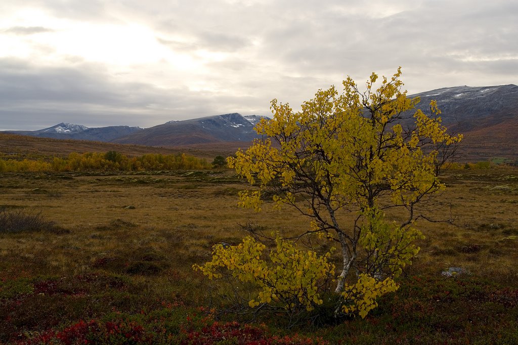 Tromsø, Norway by vindsportknut