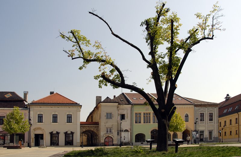 FŐ TÉR-SQUARE /NEGYBÁNYA-ERDÉLY/ by BALÁS ISTVÁN