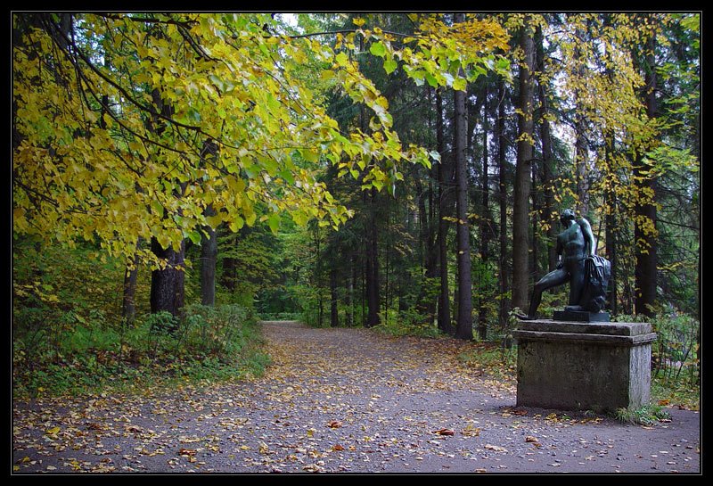 Golden autumn in Pavlovsk by Synoptic