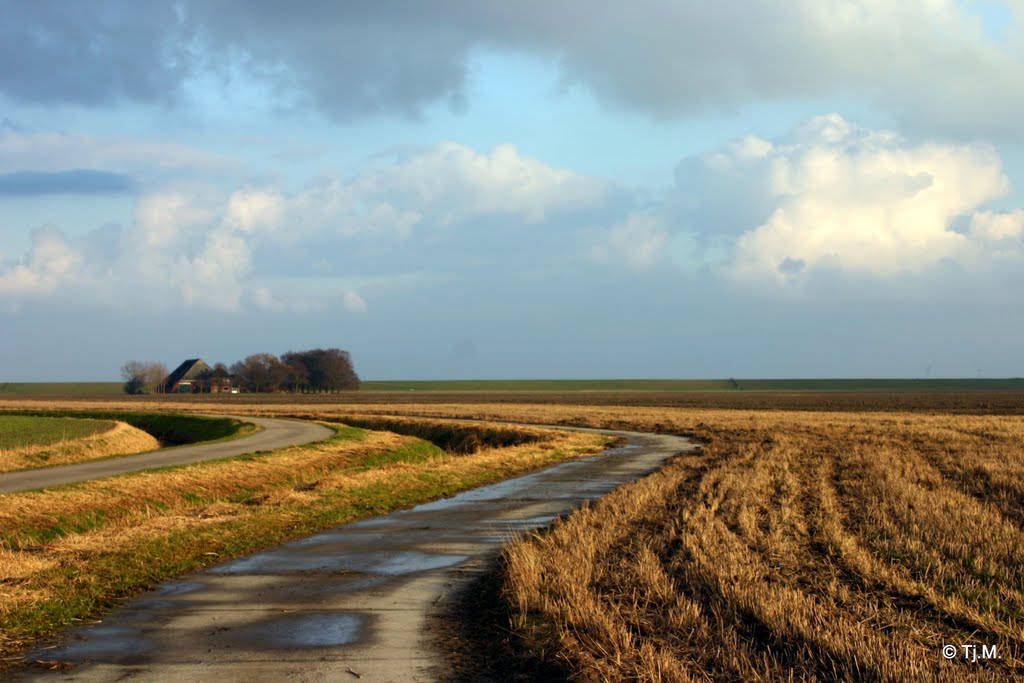 Het voorjaar is op komst! by Tjeert.Mensinga ©