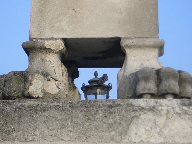 Padova-Prato della Valle 1 by ©galilaeus