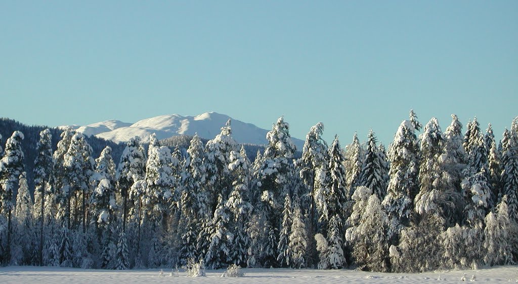 Vintermotiv ved Ørvella , Telemark by H.Jelstad