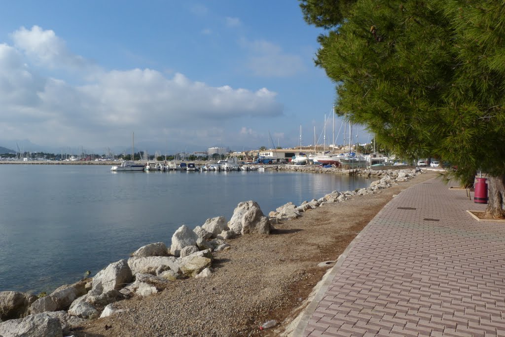 Puerto de Alcudia by Alejandro Luis Carreras