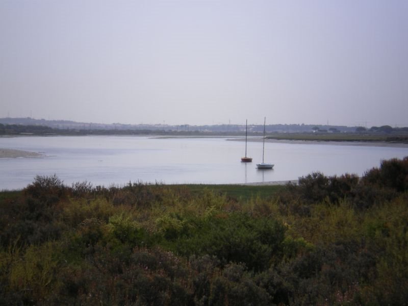 Los Toruños, en El Puerto by avlixa