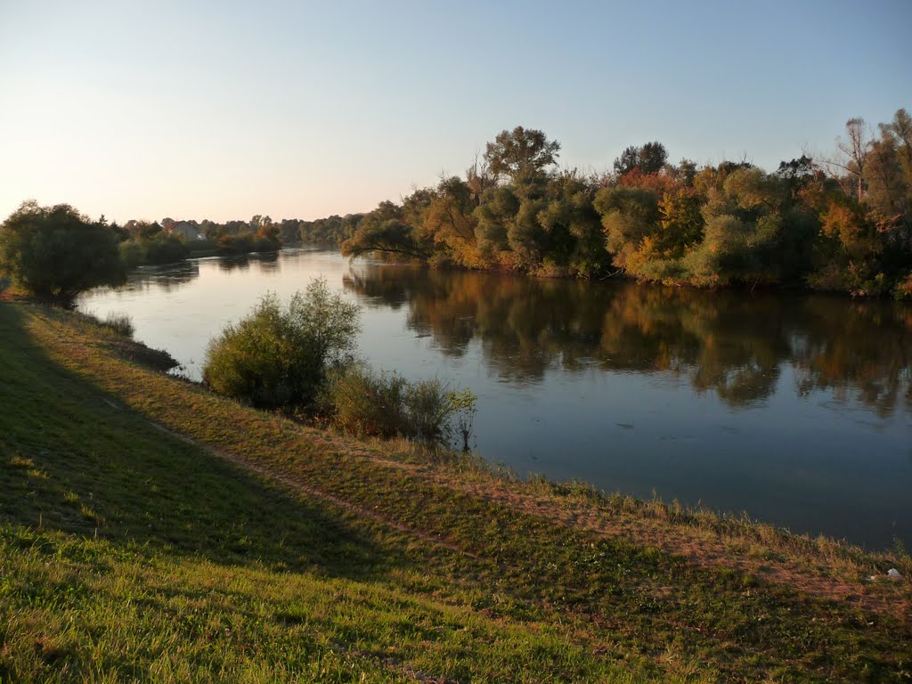 Morava river in Záhorská Ves village by Jan Madaras