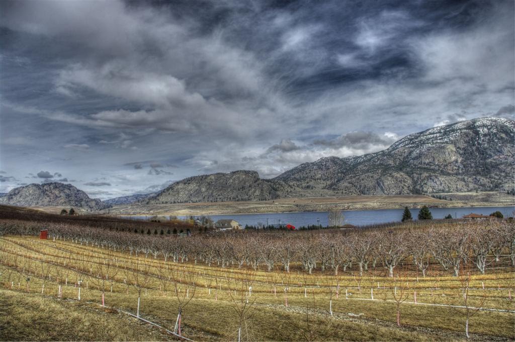 Osoyoos Lake and Vineyards in winter 2011 by John Greaves