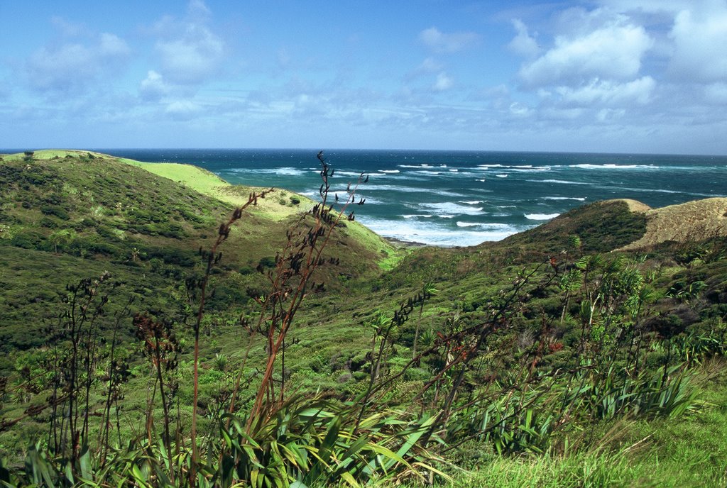 Hokianga Heads by Andrew Morten, TravelEssence, Netherlands