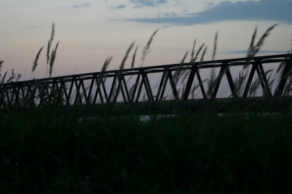 Rheinbrücke Wesel by Sven Stelzer