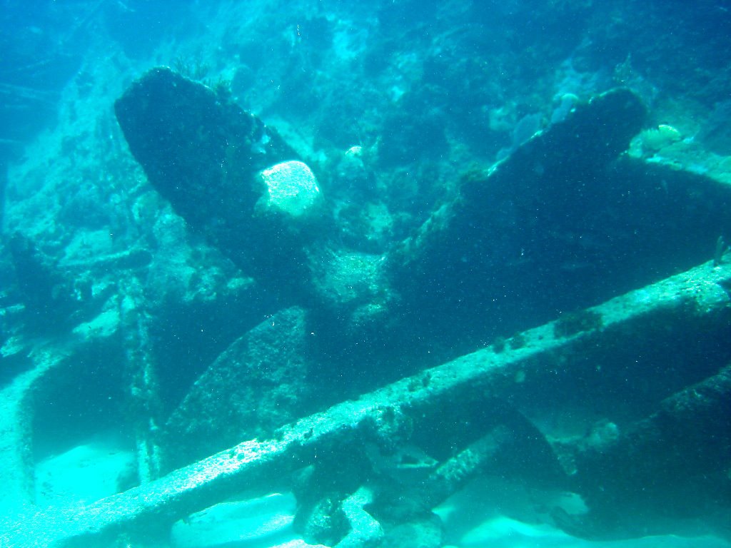 Old real Shipwreck / A very nice Dive by el Mechanico