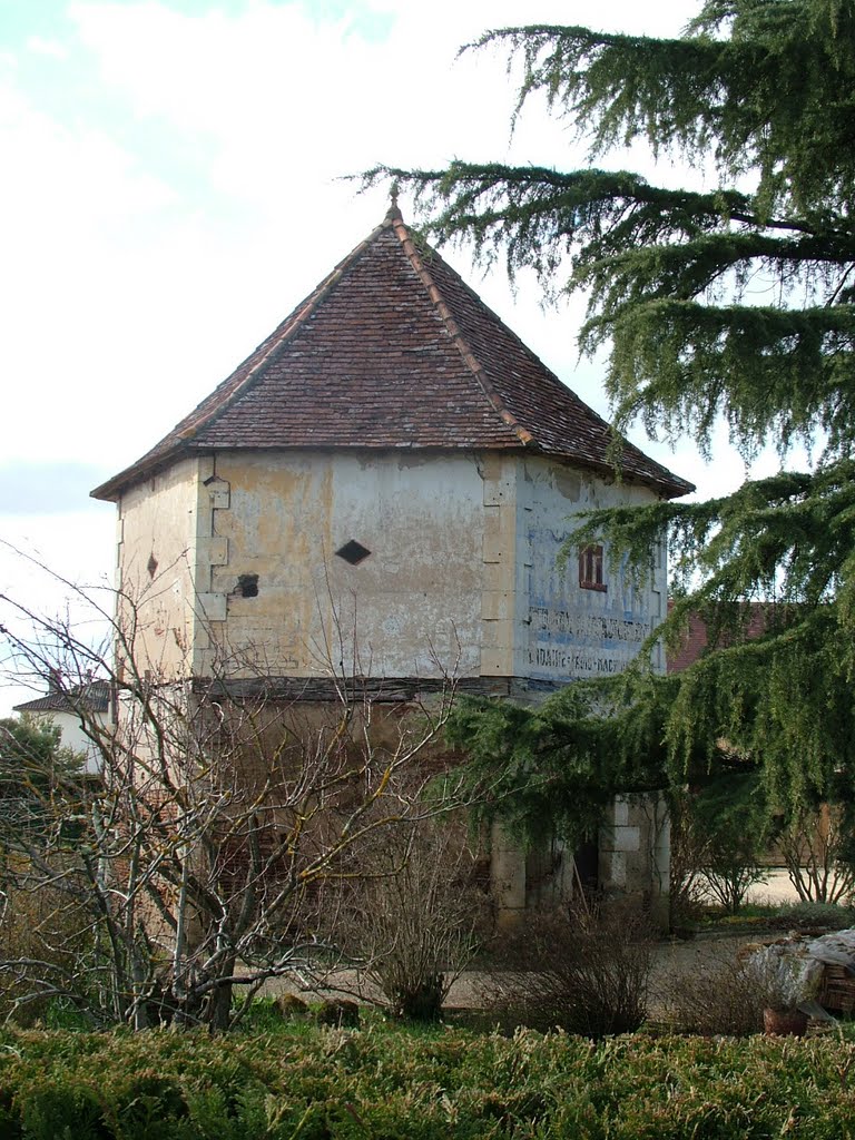 Pigeonnier à Bergerac (24) by pauldeville