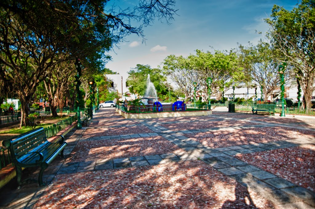 PLAZA DE RECREO DE LOIZA by SAMUEL MOLINARY