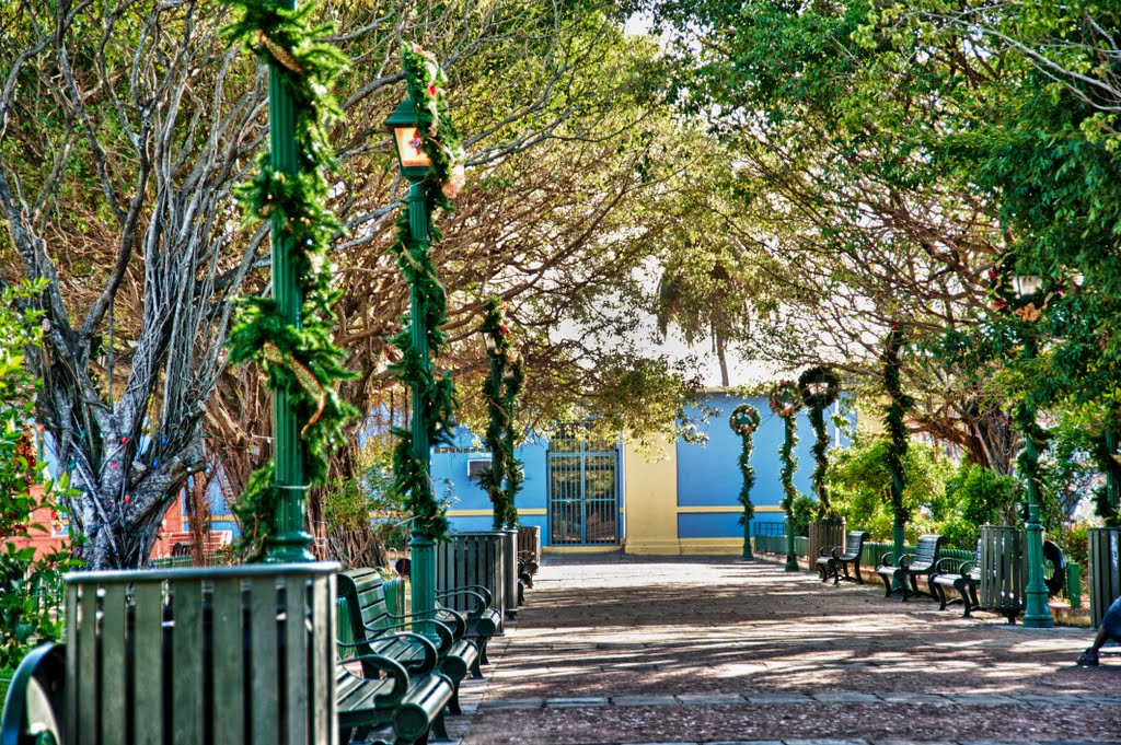 PLAZA DE RECREO DE LOIZA by SAMUEL MOLINARY