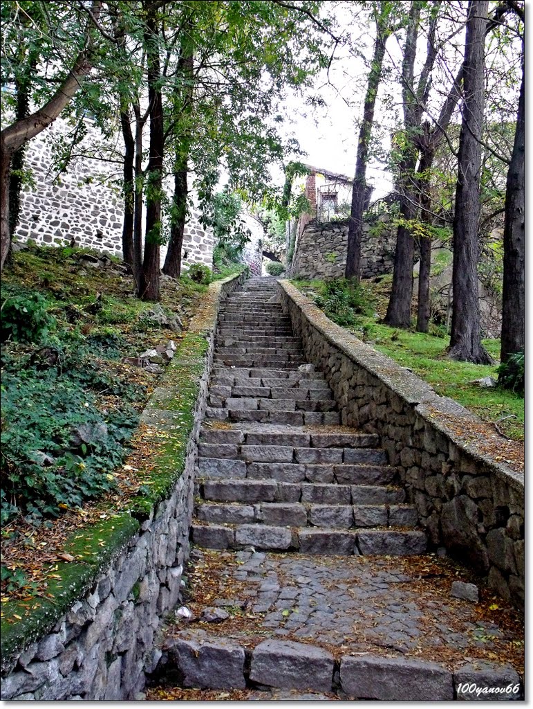 Street stair / Улица стълбище by Stefan 100yanov