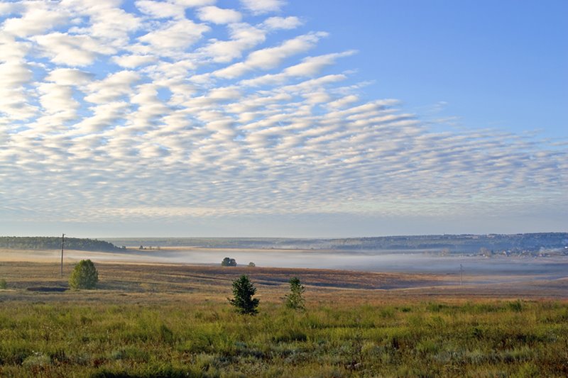 Iskitimsky District, Novosibirsk Oblast, Russia by Vladimir Gurov