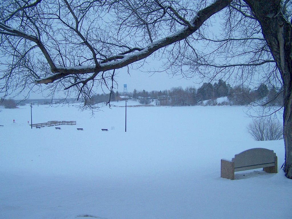 Willie Walleye Park in Winter, Baudette, MN by erlyce