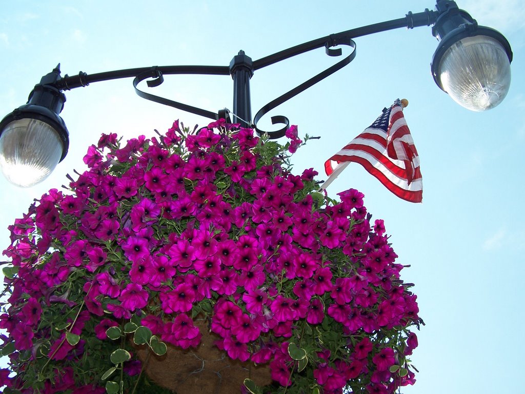 Centennial Street Light, 2006, Baudette, MN by erlyce