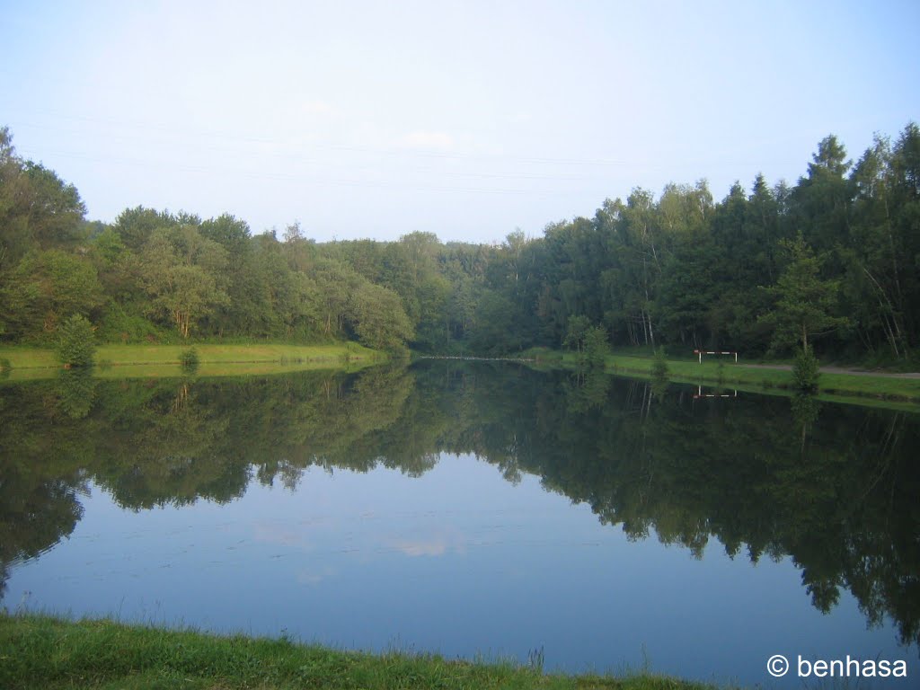 Fischweiher am Morgen by benhasa