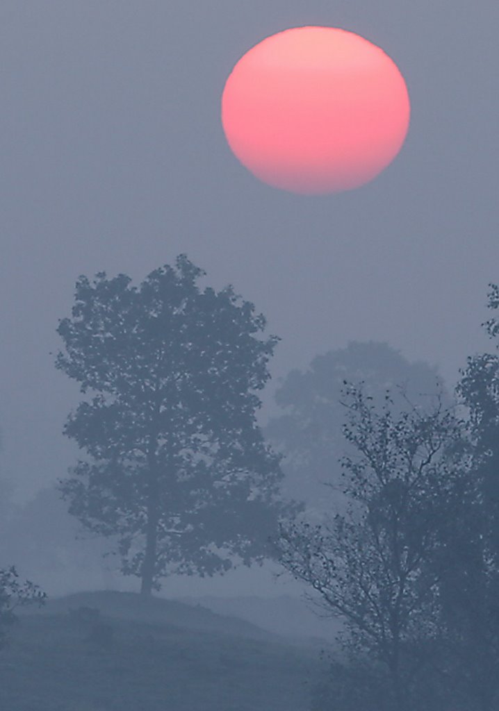 Sunrise on a Sunny Sunday by Erik van den Ham